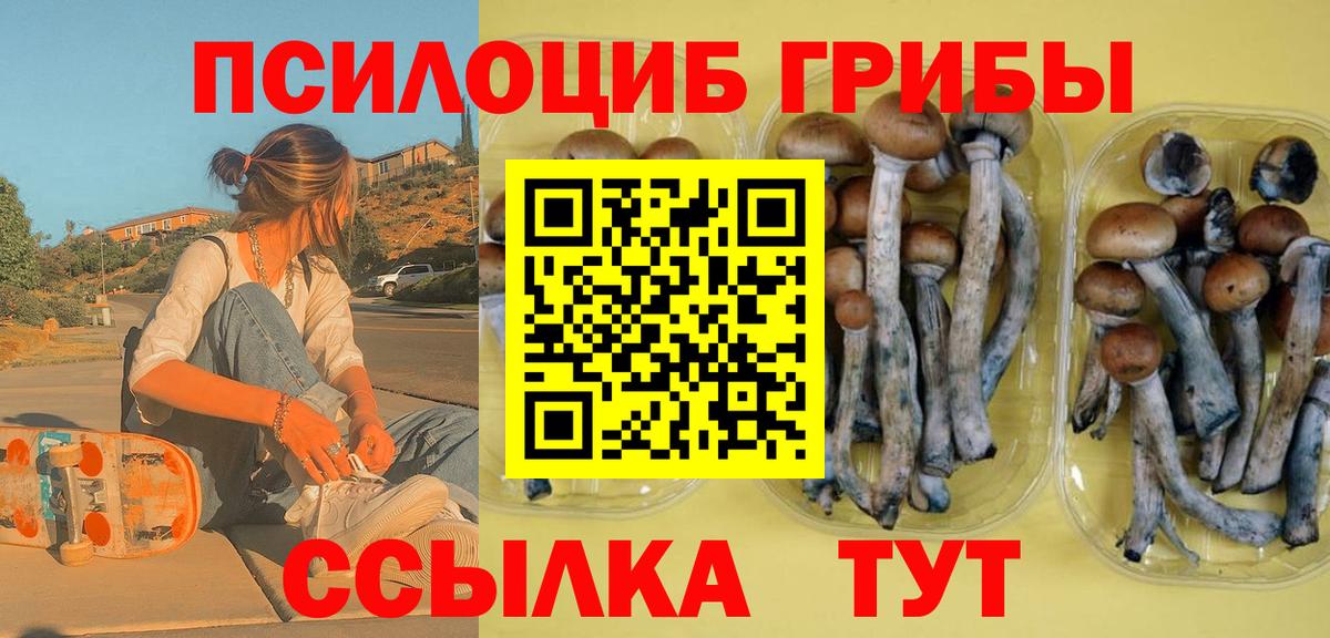 Галлюциногенные грибы MAGIC MUSHROOMS Южно-Сахалинск